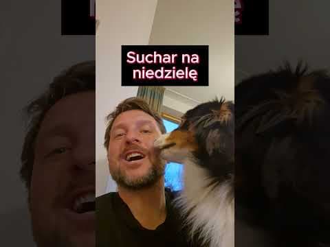 Gdzie suczki szukają szczęścia?
