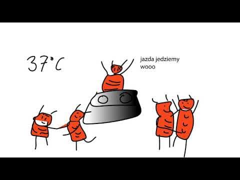 Pan NieCogito - Pluskwy. Wróg ludzkości. Ojej, co robić? feat. Bartosz Skrobisz