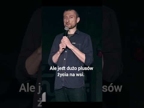 Skąd ptaki biorą energię do latania?