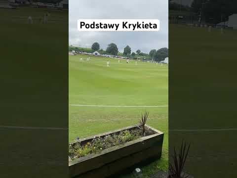 Bartosz Gajda: Krykiet, Cricket