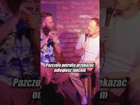 Taniec pszczoły