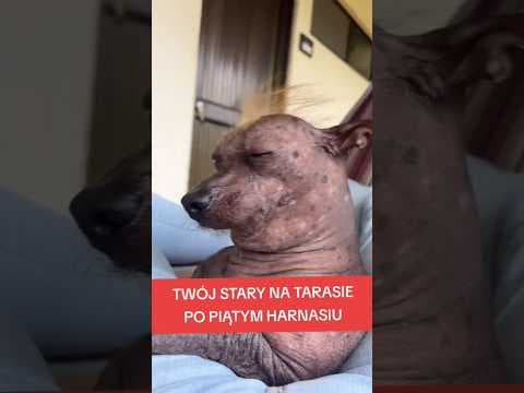 Twój stary latem