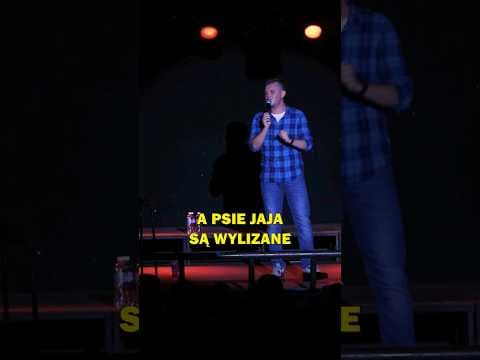 Psie jaja