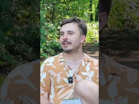 Co łączy Z dvpy i Świat Według Kiepskich?