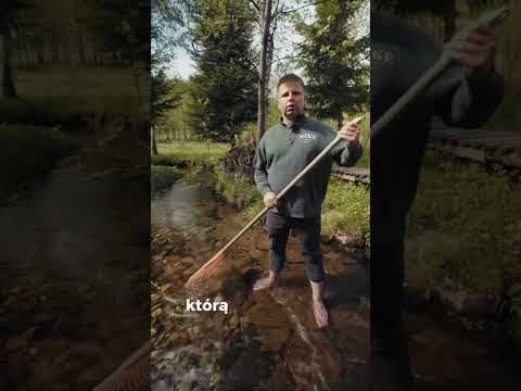 Komediowy camp w naturze – dla twórców, początkujących i tych, co chcą mówić swobodniej!