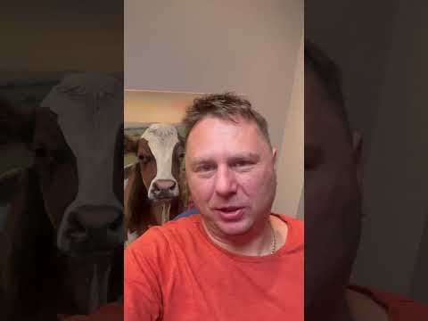 Bartosz Gajda: Polecie, Zakup, Wolne