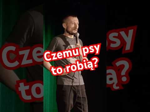 Czemu psy wąchają sobie tył…