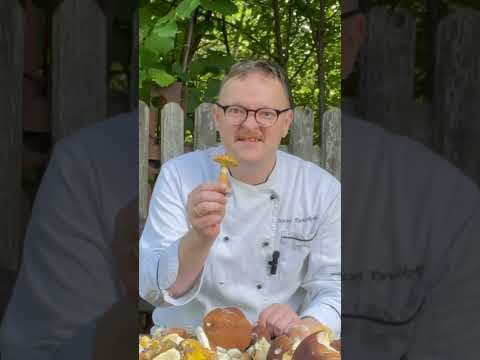 Kucharz Maciej - Grzybunie