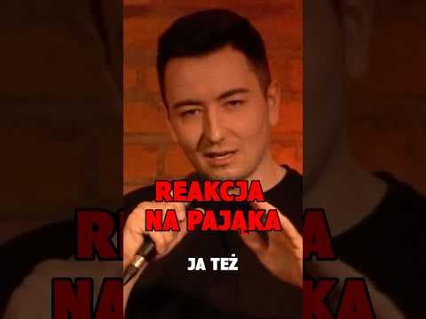 Reakcja na pająka, gdy boisz się bająków | Wiktor Sumliński