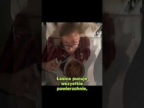 Leniwy Roast Zajączka | Warszawa 09.03.