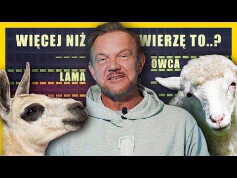 PANIE I PANOWIE: HITY INTERNETU 3!