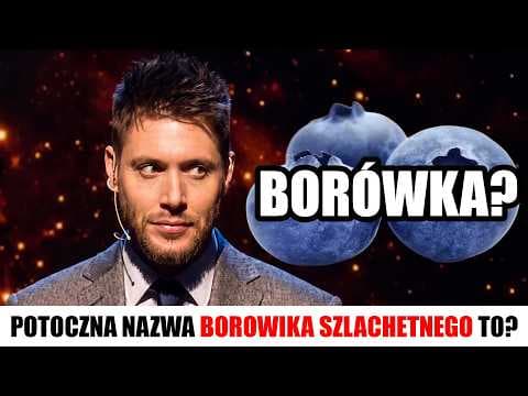 NAJWIĘKSZE WPADKI W TELETURNIEJACH 2!