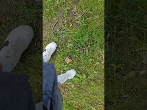 Tylko koni żal