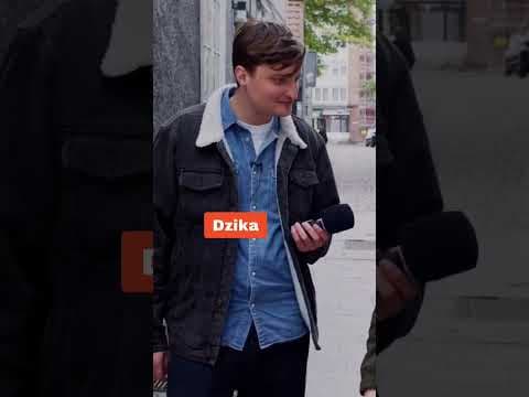 Jaki jest Twój ulubiony rodzaj dzika?(Sonda uliczna)