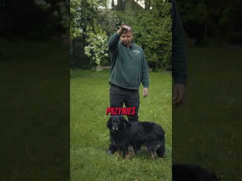 Social Komedia Camp - więcej informacji w BIO