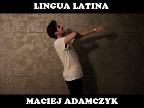 Taco Hemingway "VI zera" Lingua Latina - "6 zer" Parodia