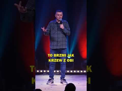 Niskorosły - "Rzut za dwa"