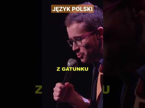 Cezary Jurkiewicz - Język Polski. Fragment "Nadwiślańskiego Świtu". Całość na kanale Stand-up Polska