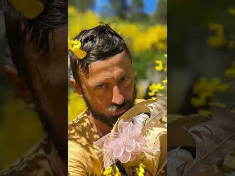 Fazy Popkornu