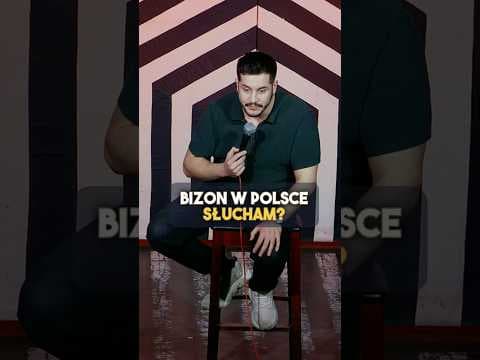 Bizon w Polsce