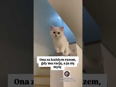 Michał Juszczak: Laugh, Kobieta, Związek