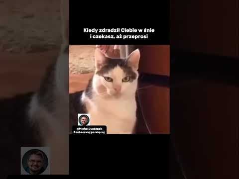 I weź się człowieku domyśl