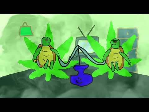 Serial o żółwiach - Odcinek 1 - Ucieczka