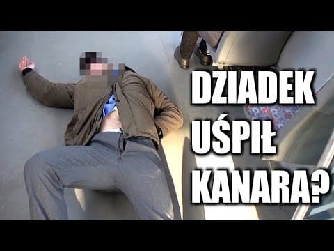 DZIADEK UCIEKŁ KANAROWI! AWANTURA W TRAMWAJU - TV REGIO