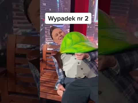 Bartosz Gajda: Polecie, Twojstary, Wypadek