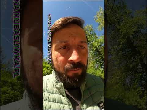 Schnąca pszczoła # spacer