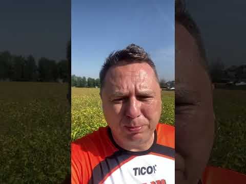 Bartosz Gajda: Jogging, Żart, Jesień