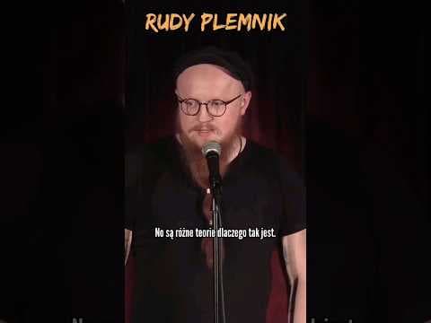 RUDY PLEMNIK | Jaksa