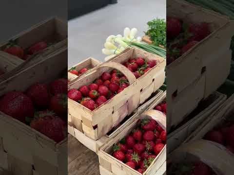 Bazar Smaku 20.06.2026r Łódź Ogrody Greyera, będę tam Wam gotował od 11
