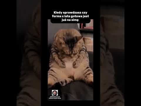 Oficjalnie ogłaszam: sezon na zimowe zapasy rozpoczęty!