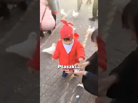 gołąbek pokoju?