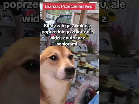 Poglądowa rolka dla branży Pszczelarskiej.