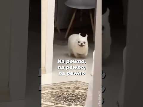 no… było mu nie mówić…