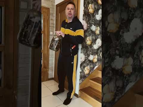 Bartosz Gajda: Polecie, Twójstary, Żart