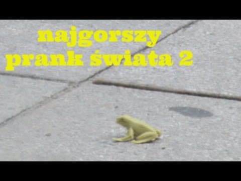 Najgorszy prank świata 2: żaba kontratakuje.