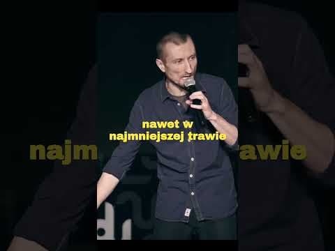 "Uważajcie na kuropatwy"