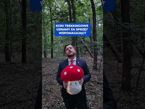 GRZYBY SĄ USTAWIONE