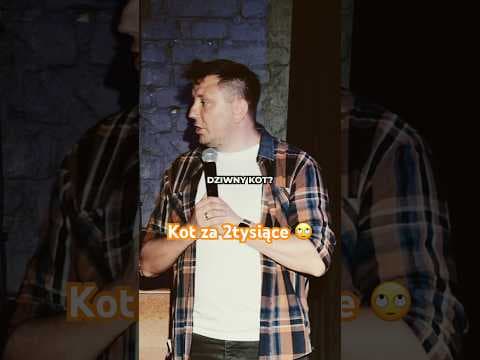 Jak Miałczy kot za 2k ?